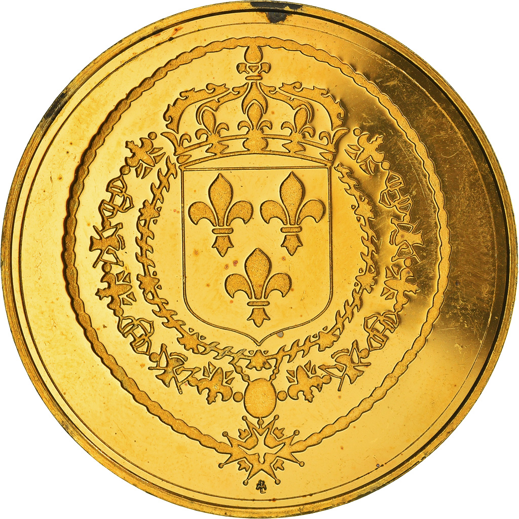 France, Medal, Les rois de France, Louis XIV, History, , Vermeil