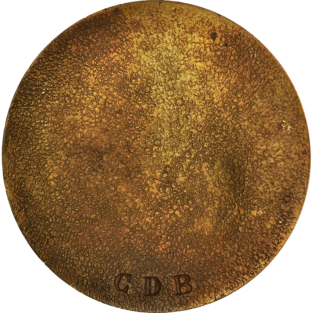 France, Medal, Victor Hugo, Arts & Culture, , Bronze