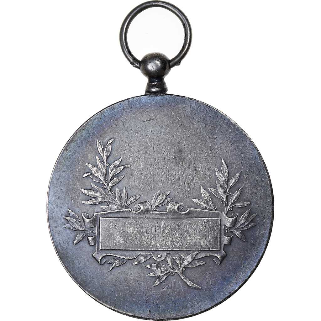 France, Medal, Marianne Casquée, France, Henri Dubois, , Silvered