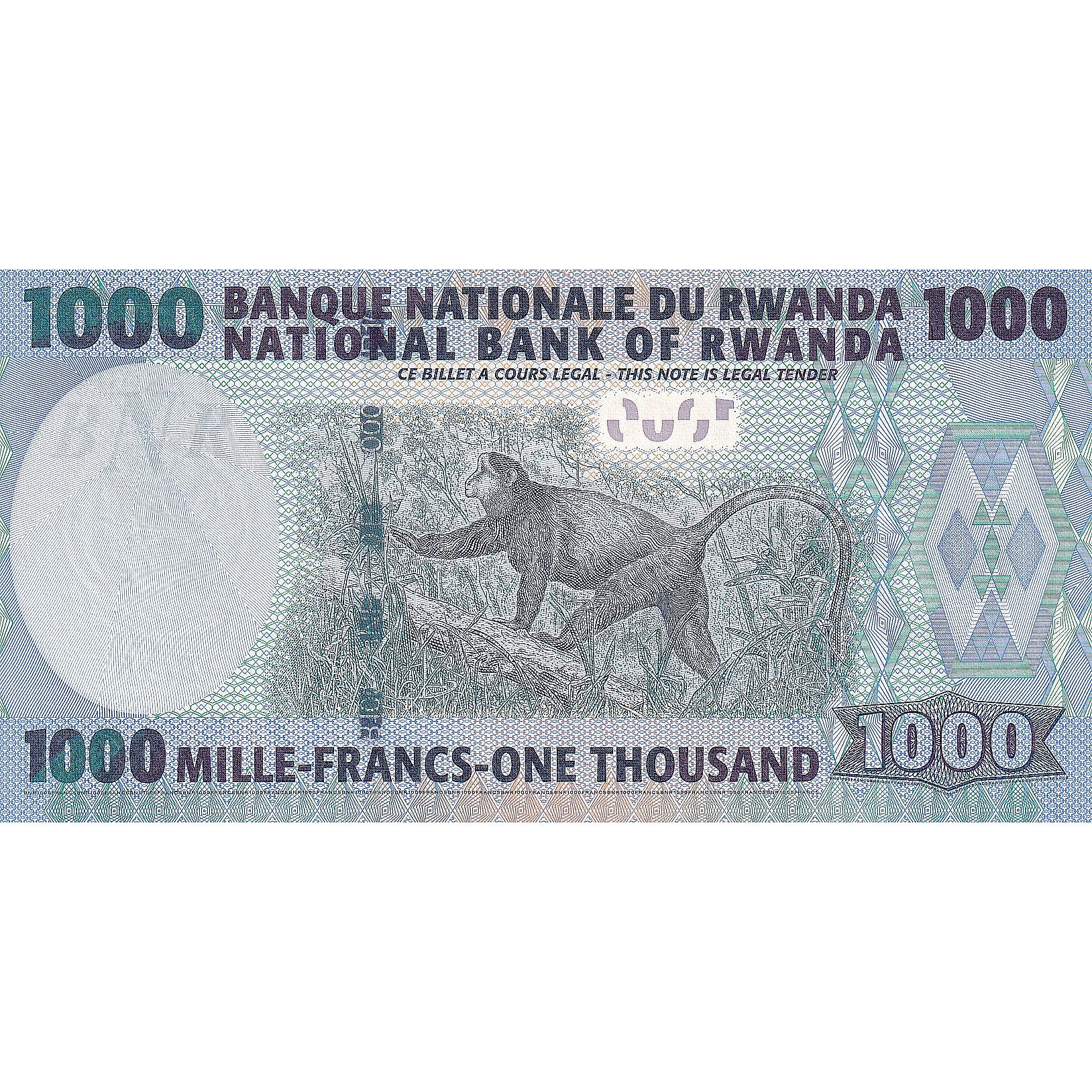 Rwanda, 1000 Francs, 2008, 2008-02-01, UNC(65-70) | World Paper Money