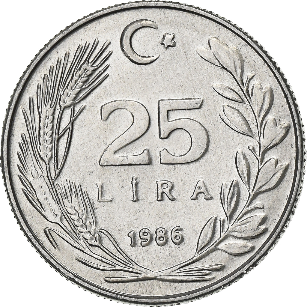 Turkey, 25 Lira, 1986, Aluminum, , KM:975