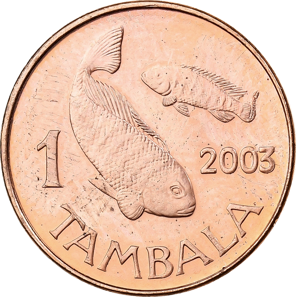 Malawi, Tambala, 2003, Copper Plated Steel, MS, KM:33a