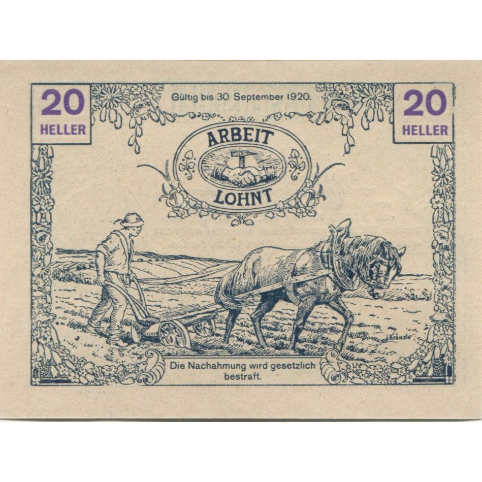Billete, Austria, Tausendblum, 20 Heller, champs 1920-09-30, SC, Mehl:FS 1060