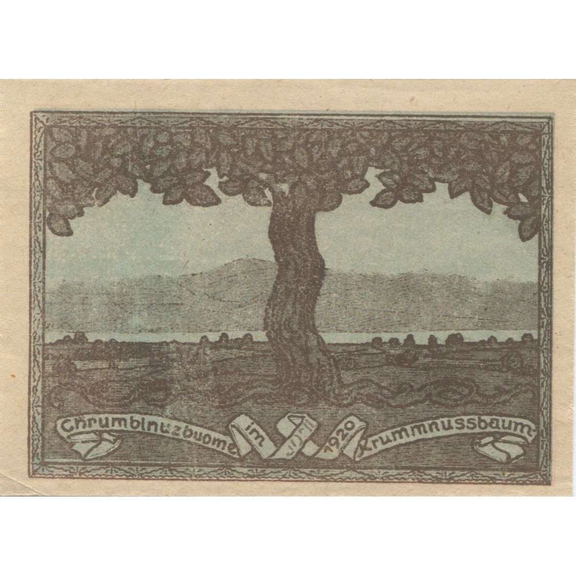 Billete, Austria, Krummnusbaum, 10 Heller, arbre 1920-12-31, SC Mehl:FS 488Ia