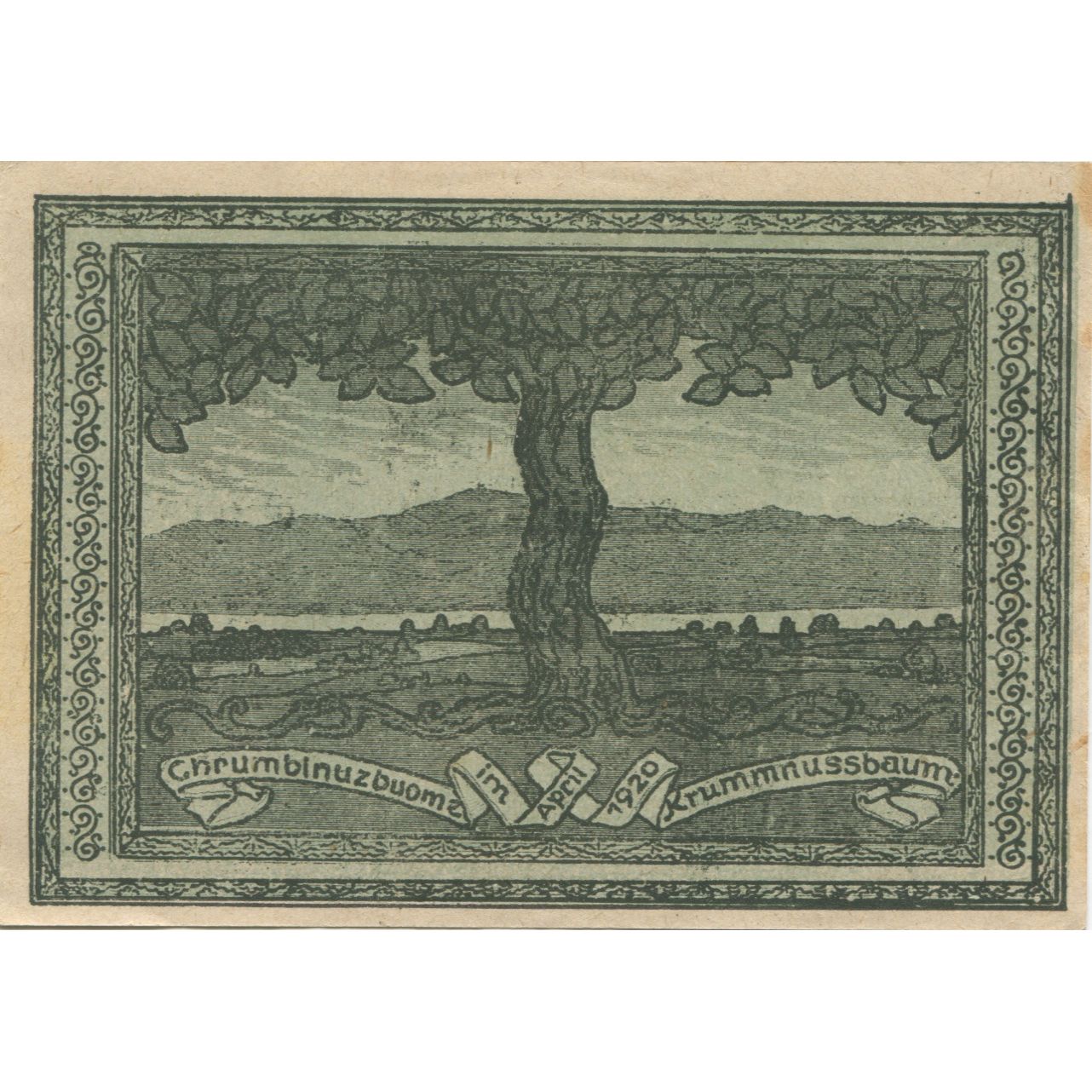 Billete, Austria, Krummnusssbaum, 50 Heller, route 1920-12-31, SC Mehl:FS 488
