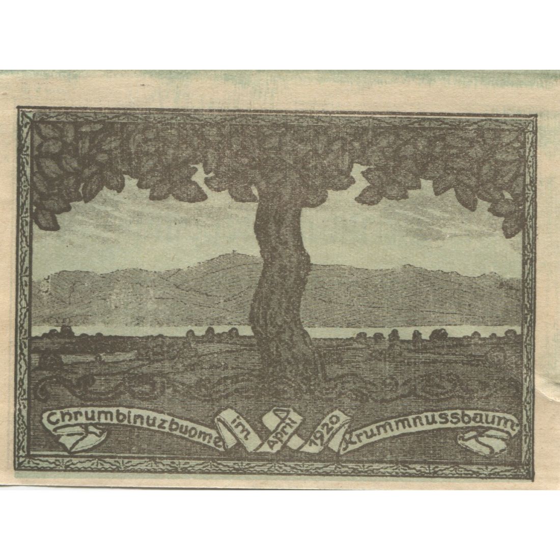 Billete, Austria, Krummnusssbaum, 20 Heller, Usine 1920 SC Mehl:FS 488