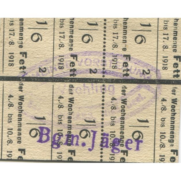 Billete, Austria, Wechling, 30 Heller, ferme, 1920, SC, Mehl:FS 1145a