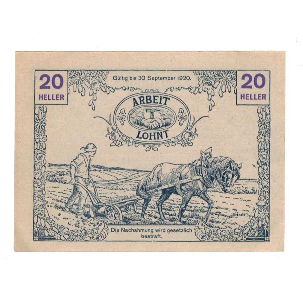 Billete, Austria, Tausendblum N.Ö. Gemeinde, 20 Heller, Paysan 1, 1920