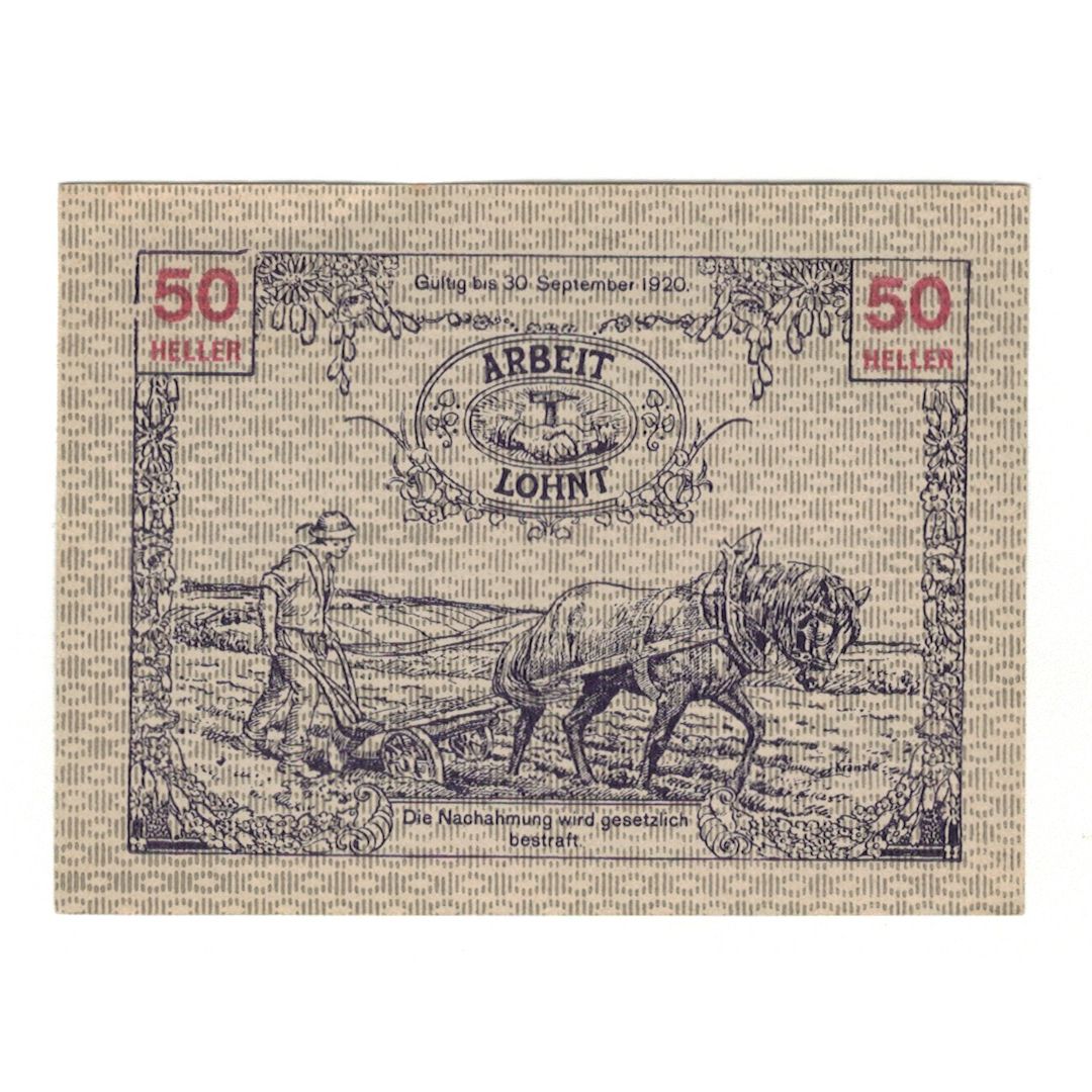 Billete, Austria, Tausendblum N.Ö. Gemeinde, 50 Heller, Paysan 1, 1920