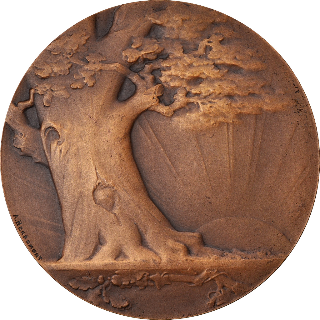 France, Medal, Education, Société d'Enseignement Moderne, Albert Herbemont