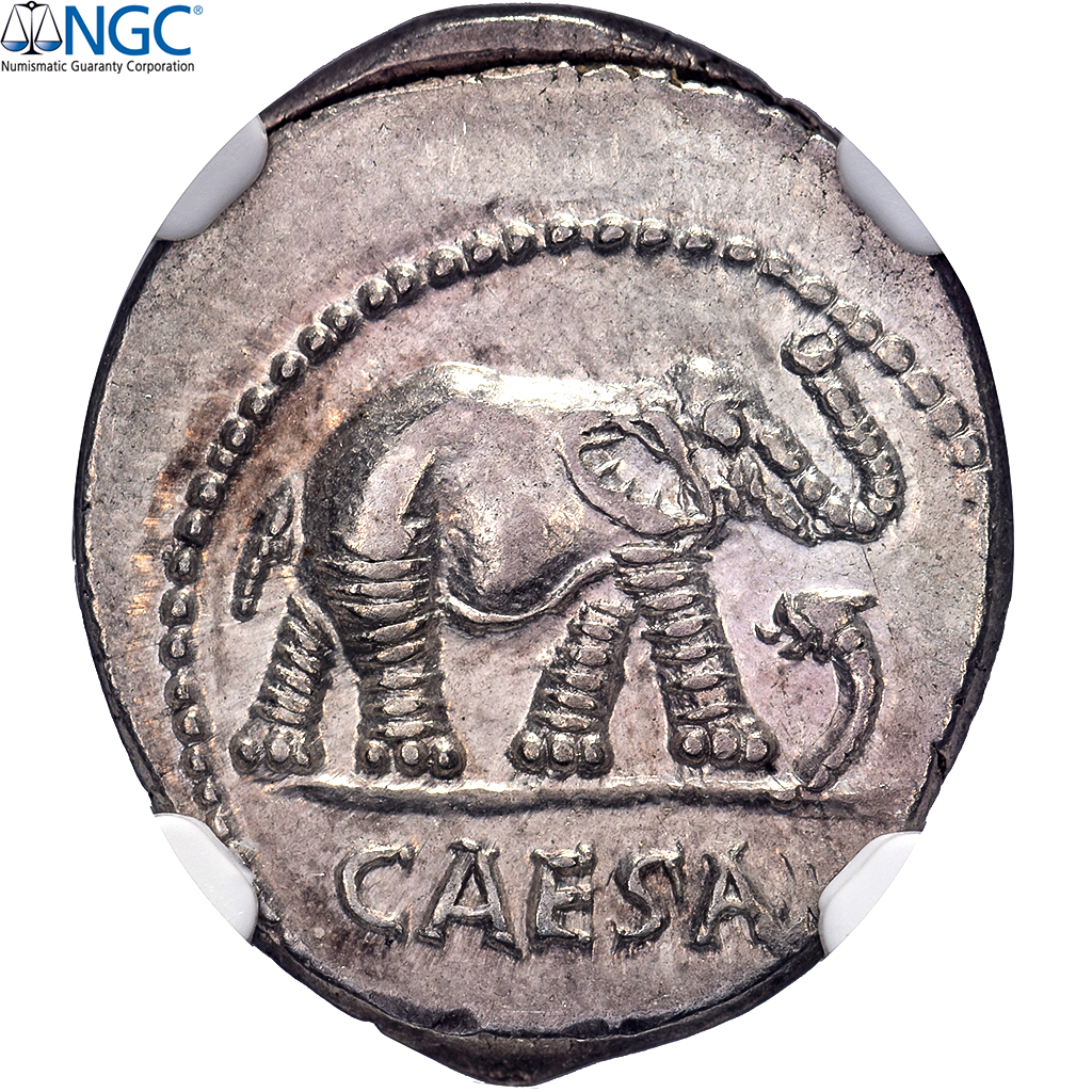 Julius Caesar, Denarius, 49-48 BC, Military mint, Silver, NGC, 