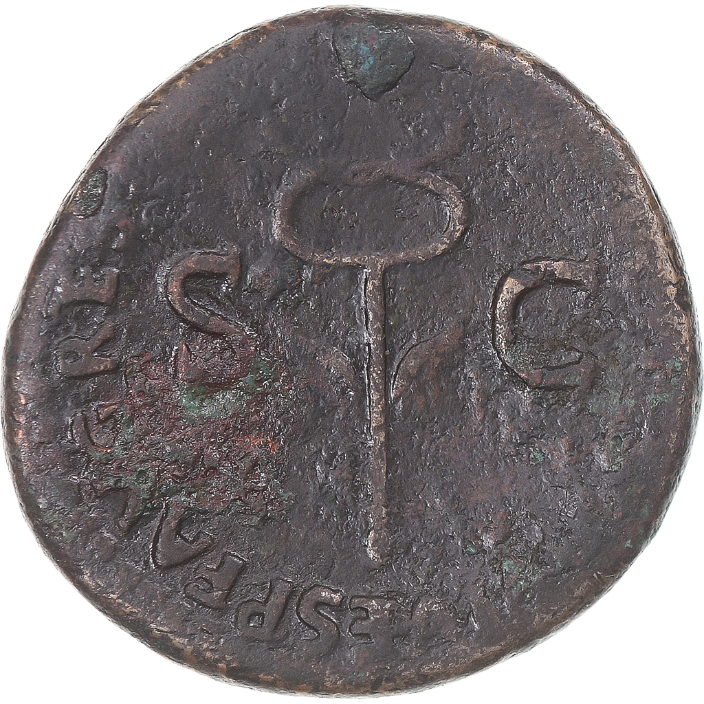 Coin, Tiberius, under Titus, As, 8081, Rome, , Bronze, RIC435