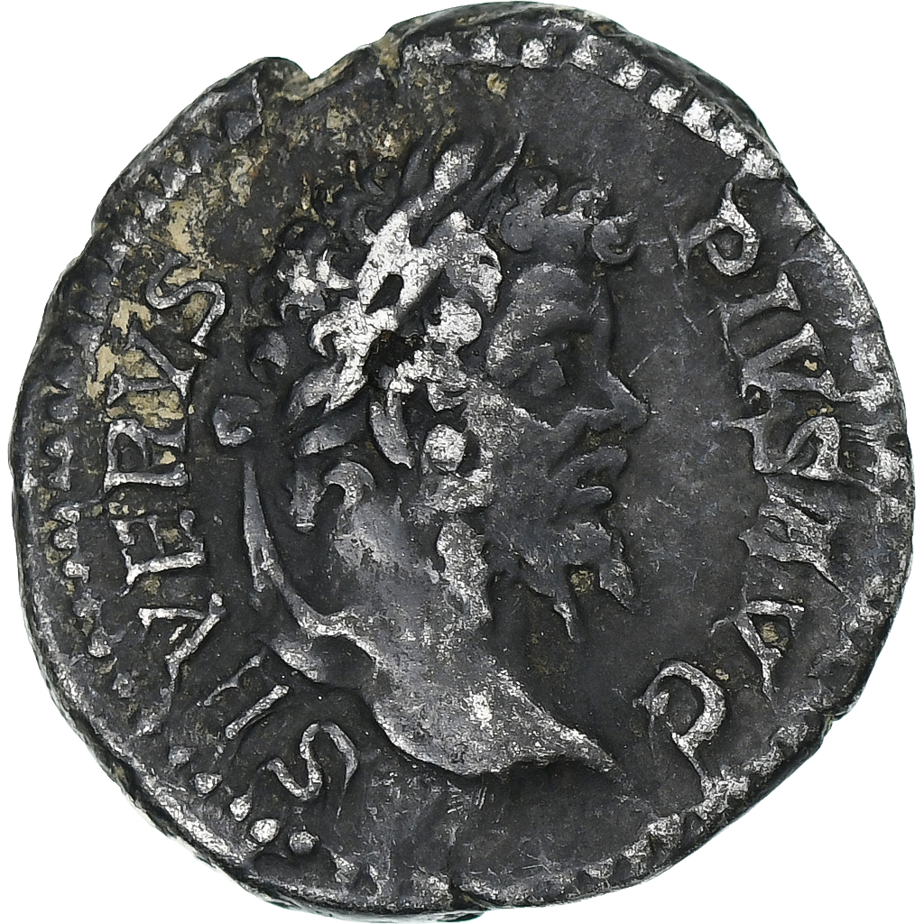 Septimius Severus, Denarius, 204, Rome, Silver, , RIC:295