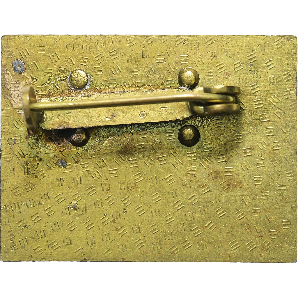 Germany, Broche, X Partei Tag, Kampf Position, Brass, 