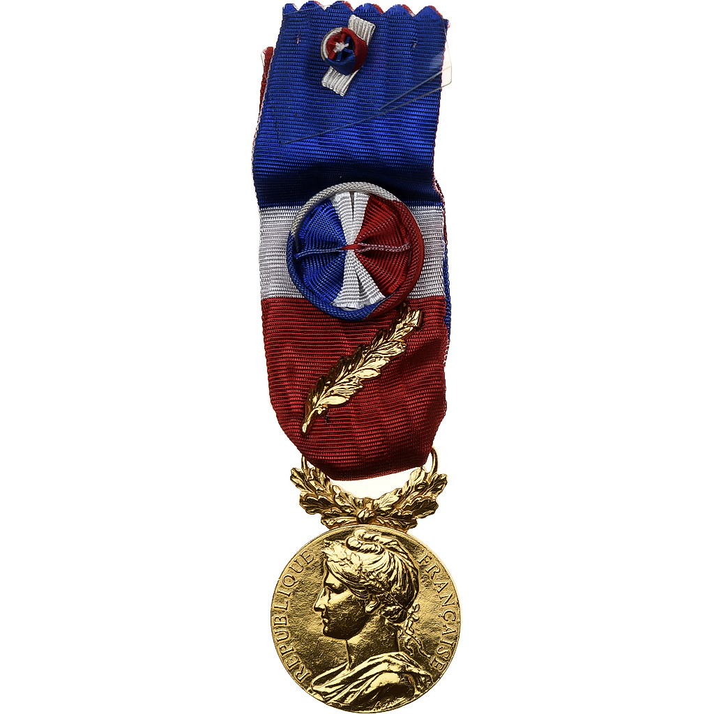 France, Honneur-Travail, République Française, Medal, 2001, Palme, Excellent