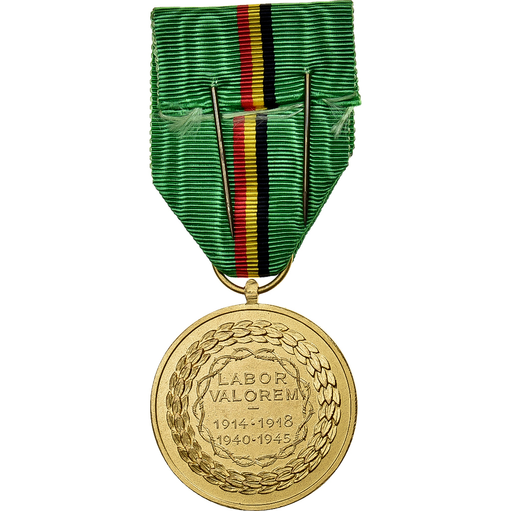 België, Fédération Nationale des Anciens Prisonniers de Guerre, Medaille