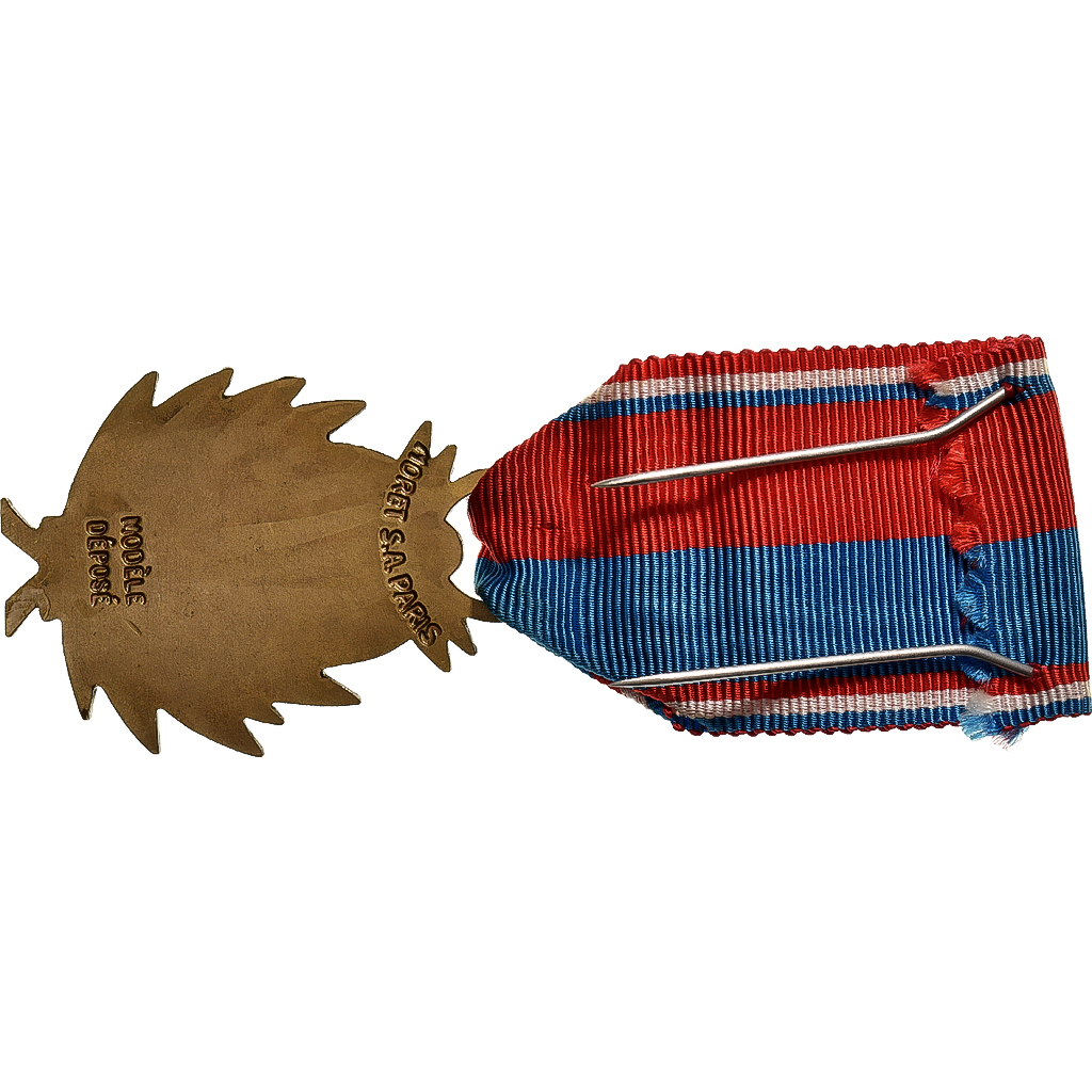 France, Confédération Musicale de France, Medal, Excellent Quality, Bronze, 38