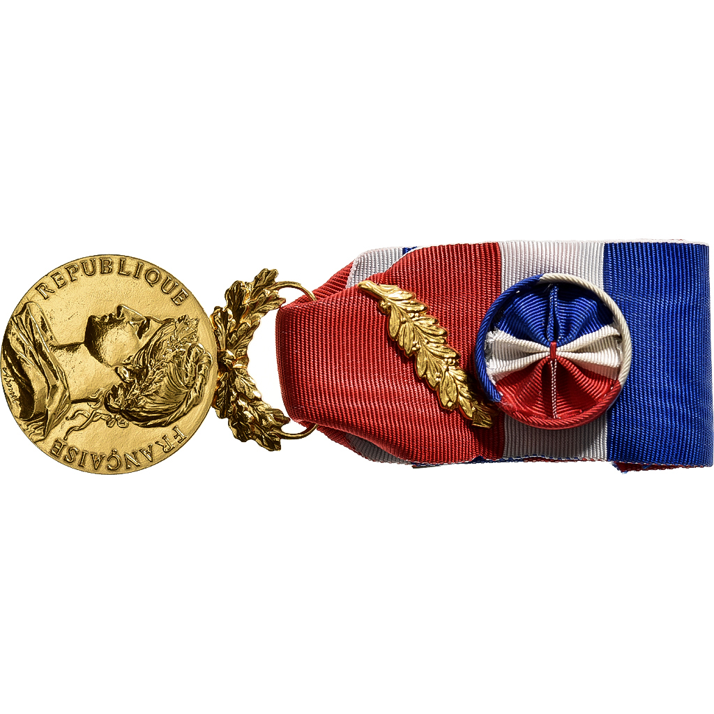 France, Honneur-Travail, République Française, Medal, 2008, Palme, Excellent