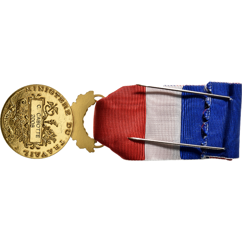 France, Honneur-Travail, République Française, Medal, 2008, Palme, Excellent