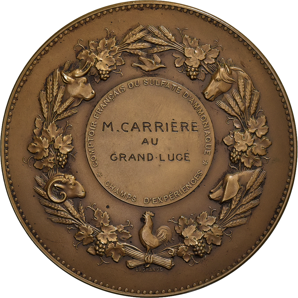 France, Medal, Comptoir Français du Sulfate d'Amoniac, Bronze, Lagrange