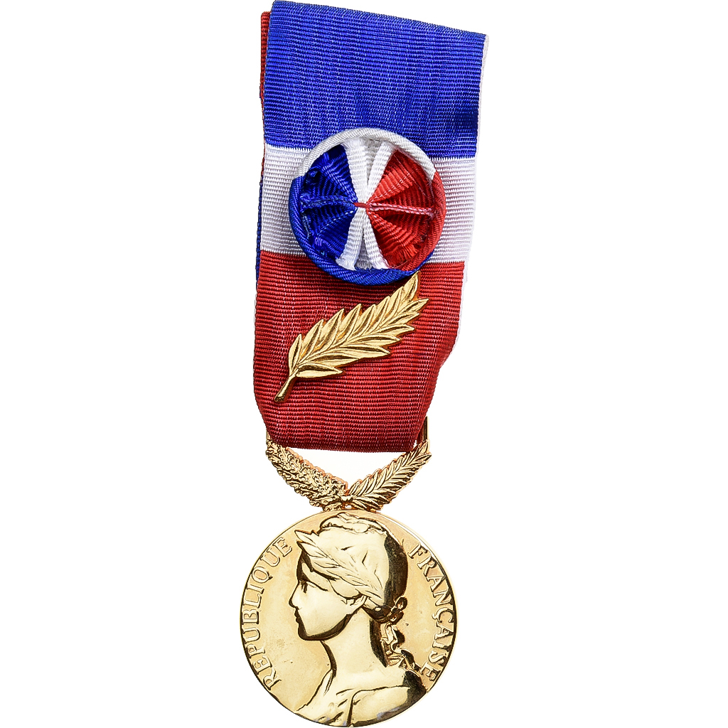 France, Honneur-Travail, République Française, Medal, 2009, Excellent Quality