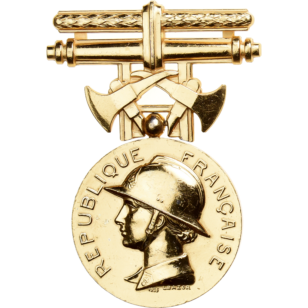France, Ministère de l'Intérieur, Actes de dévouement, Medal, Excellent
