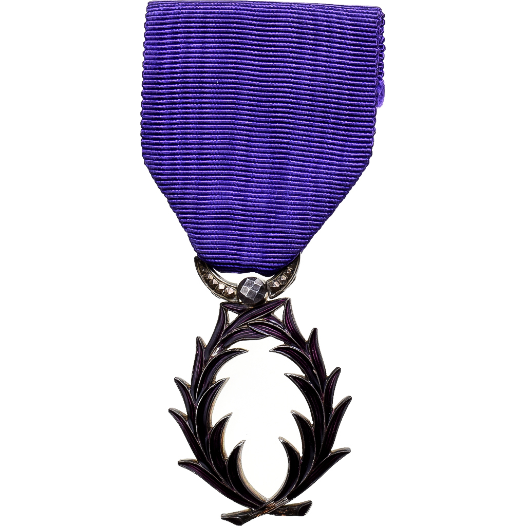France, Ordre des Palmes Académiques, Medal, Excellent Quality, Silvered