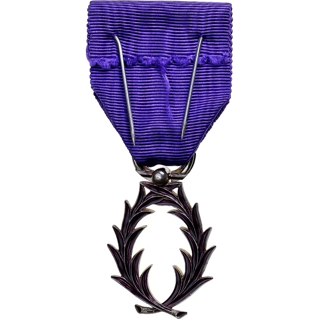 France, Ordre des Palmes Académiques, Medal, Excellent Quality, Silvered