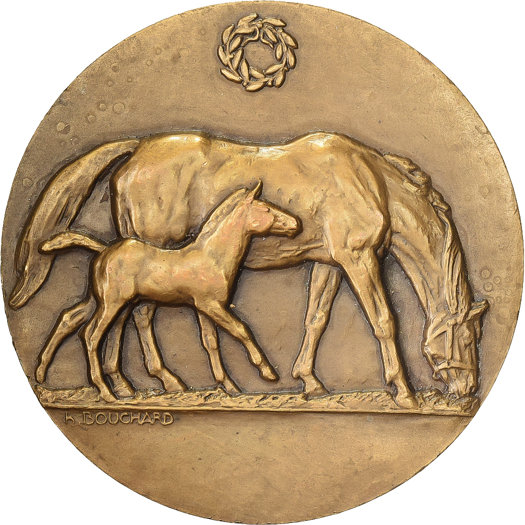 France, Medal, Agriculture, Concours Centrale Hippique, Paris, Bronze, Bouchard