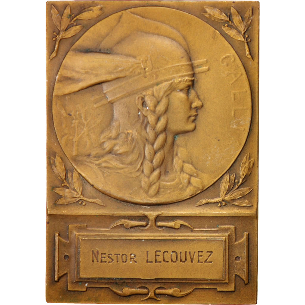 France, Medal, French Fifth Republic, Politics, Society, War, , Bronze