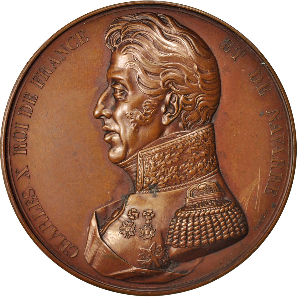 Frankrijk, Medal, Charles X, History, XIXth Century, Caqué, UNC-, Koper