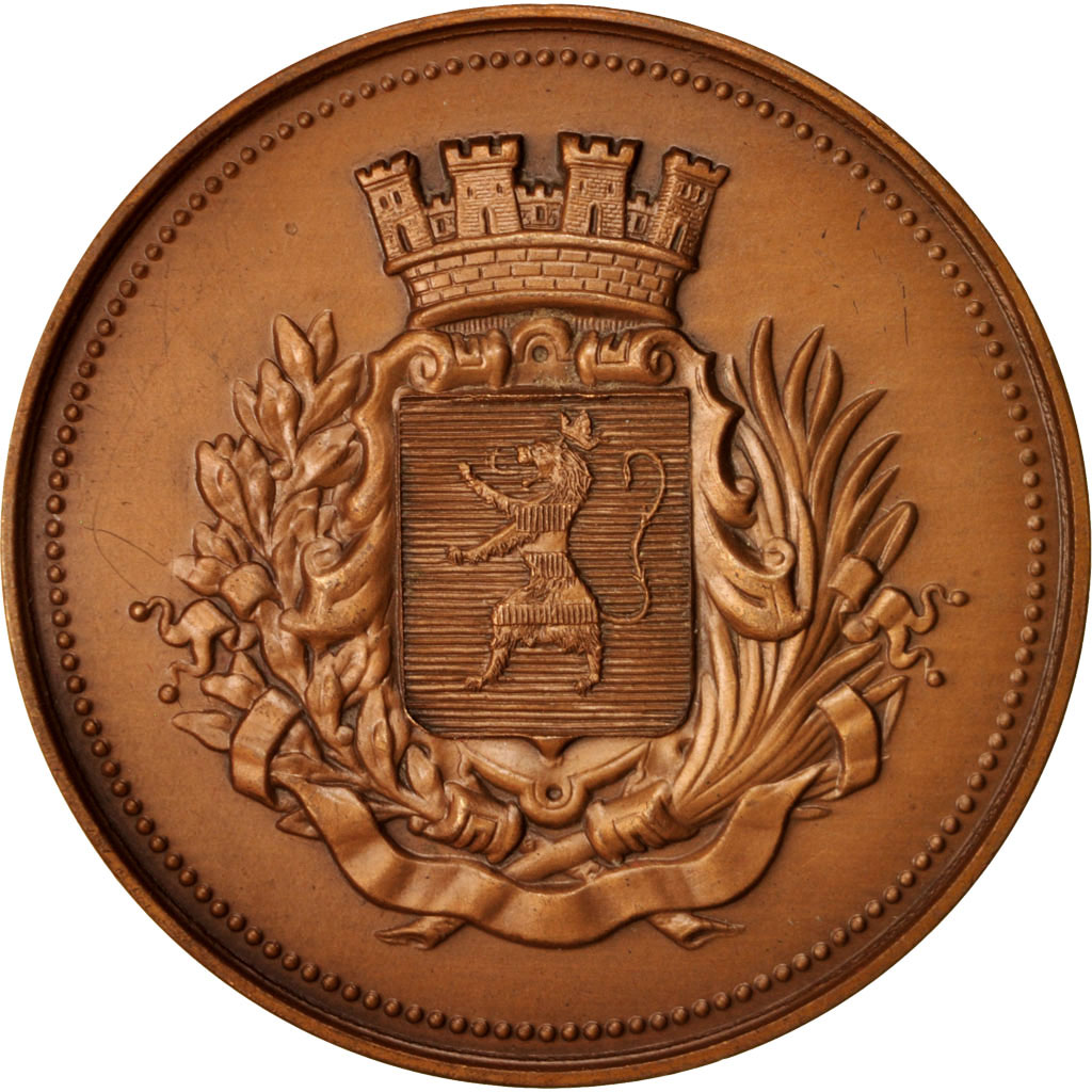 France, Medal, La ville de Wattrelos, Politics, Society, War, 1982, 