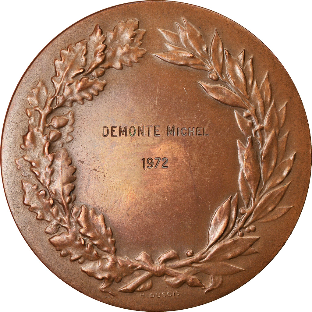 France, Medal, Justice, Demonte Michel, 1971, Brenet, , Bronze