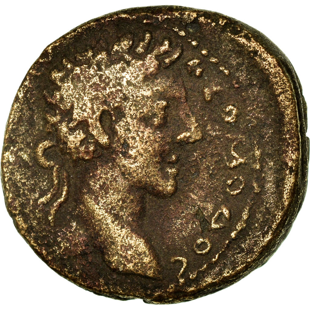 Coin, Cyrrhestica, Commodus, Bronze Æ, 177-192, Cyrrhus, , Bronze