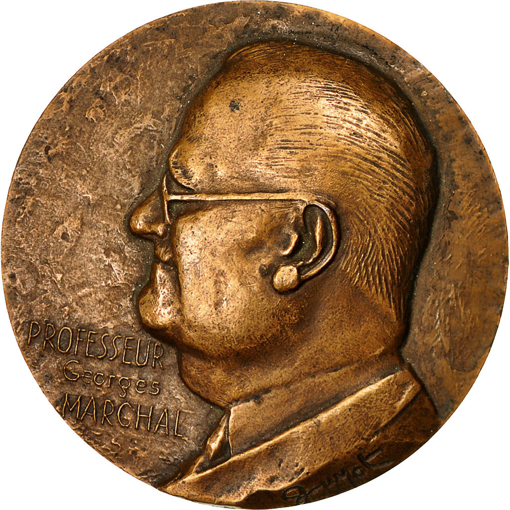 France, Medal, Professeur Marchal, Académie de Médecine, Guyot, 