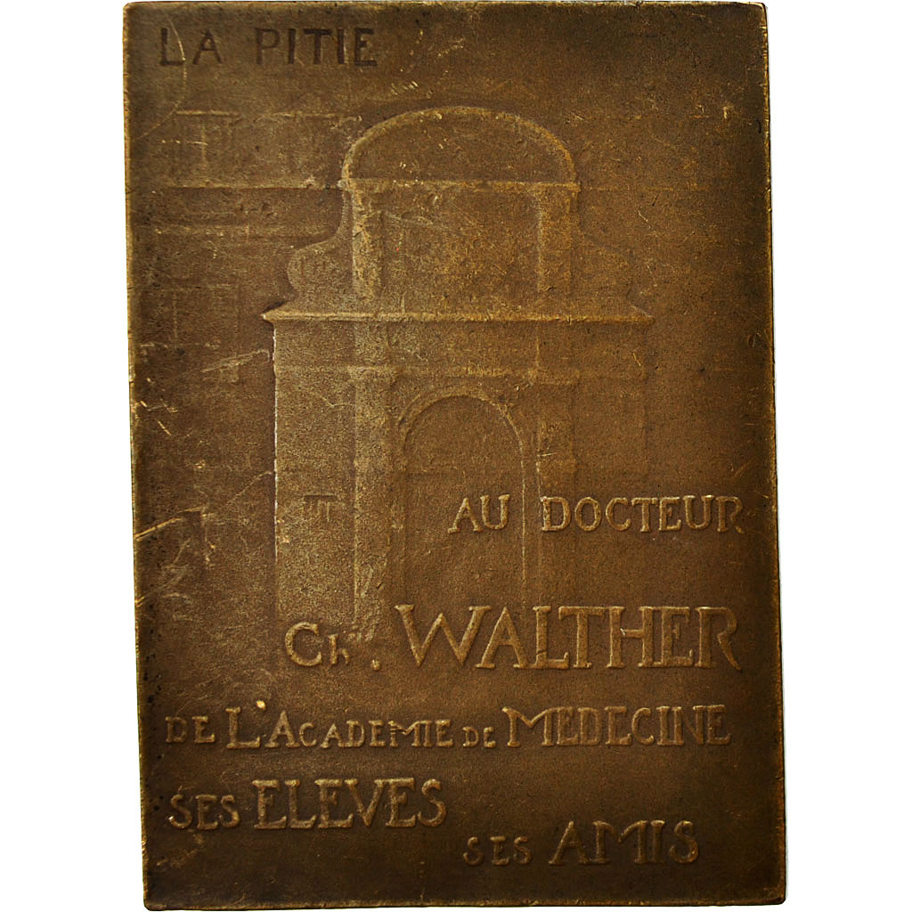 France, Medal, Professeur Ch.Walther, La Pitié, Fonfreide, , Bronze