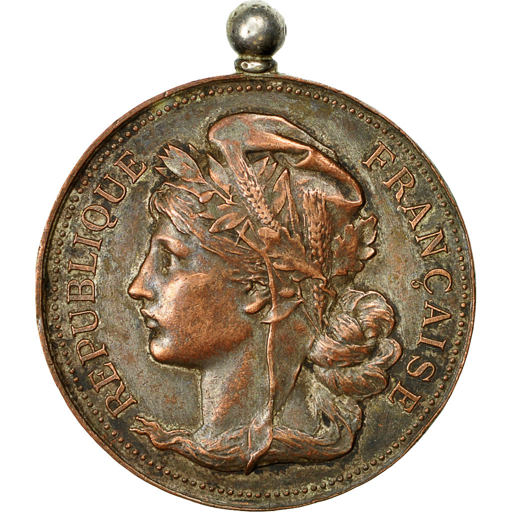 France, Medal, Musée de la Mutualité, Angoulème, , Bronze