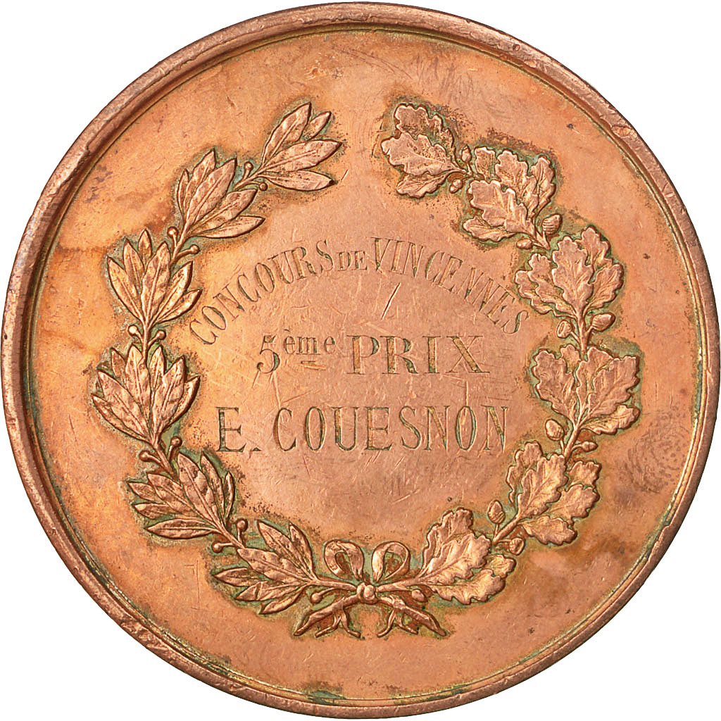 France, Medal, Concours de Tir, Vincennes, Desaide, , Copper