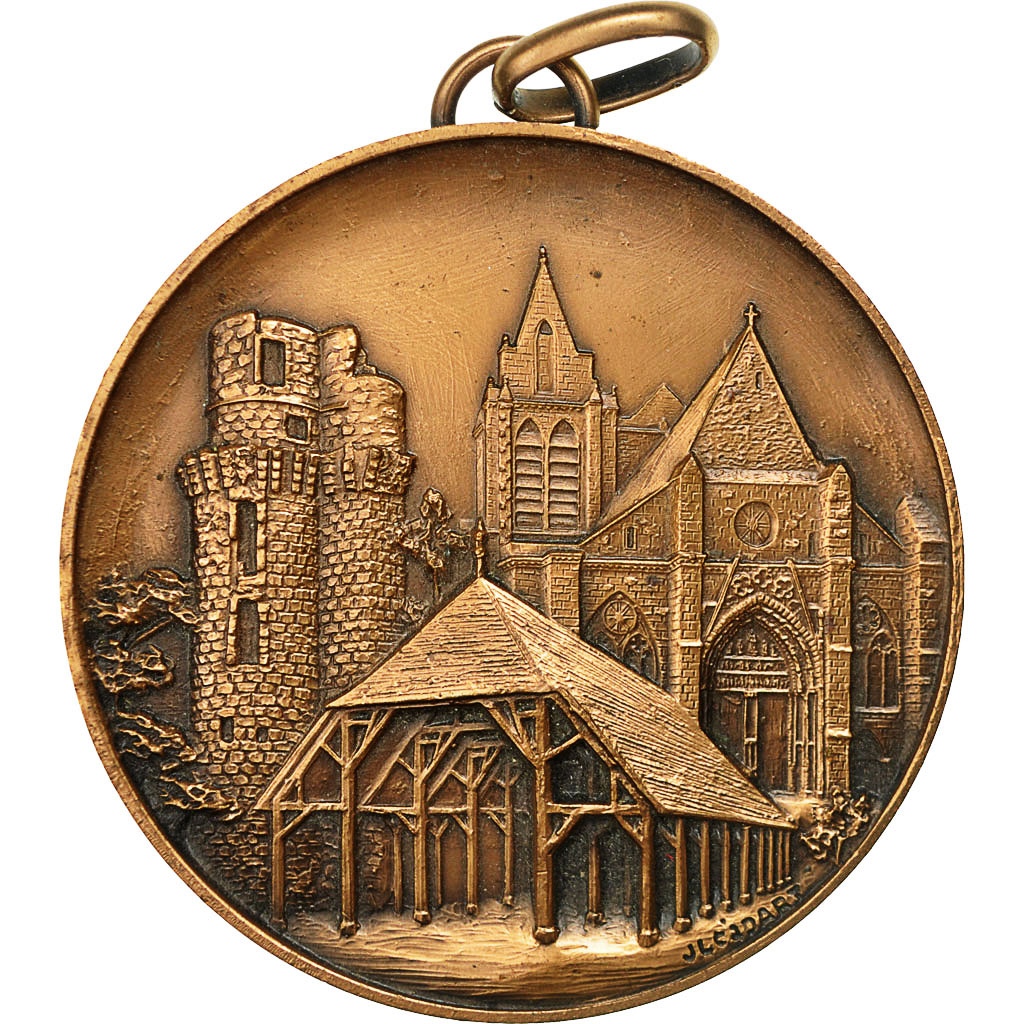 France, Medal, Conseil Général de L'Essonne, , Bronze