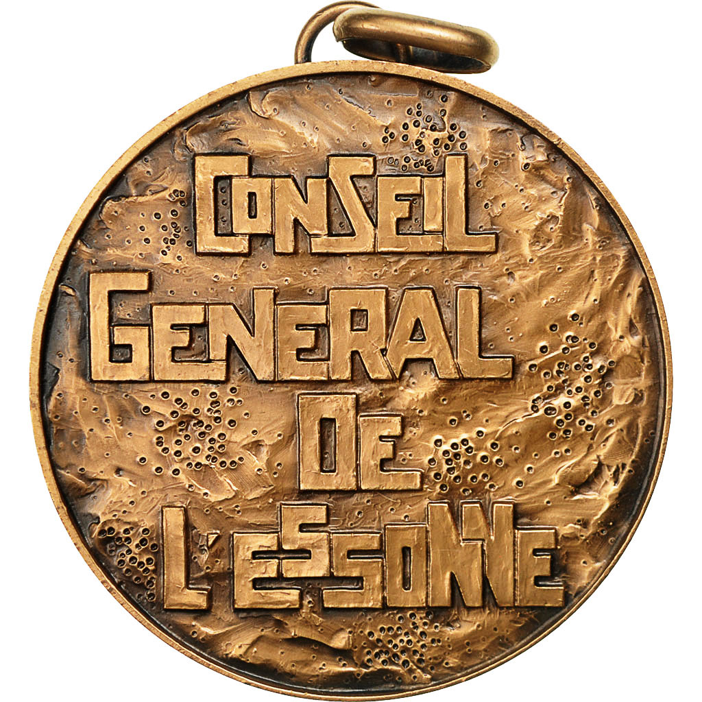 France, Medal, Conseil Général de L'Essonne, , Bronze