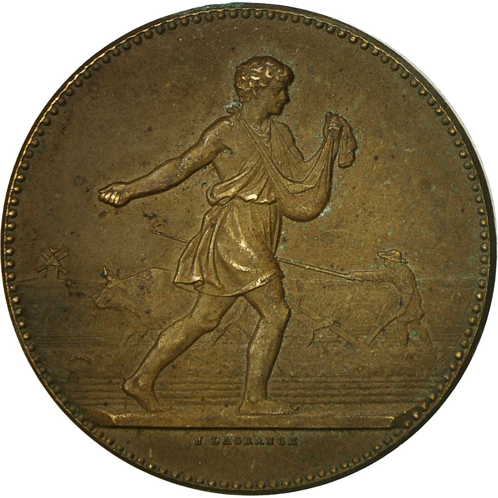 France, Medal, Comice Agricole d'Ernée, Mayenne, Lagrange, , Bronze