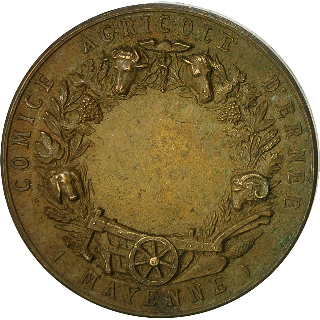 France, Medal, Comice Agricole d'Ernée, Mayenne, Lagrange, , Bronze