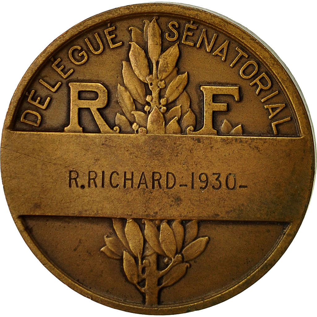 France, Medal, R.Richard, Délégué Sénatorial, 1930, Morlon, 