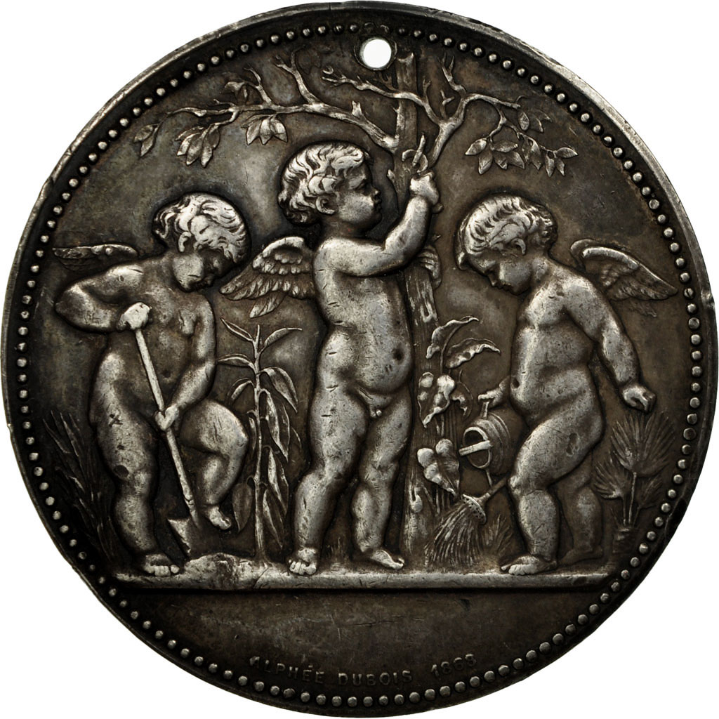 Frankrijk, Medaille, Comice de Dinan, Exploitations Horticoles, 1875, Dubois.A