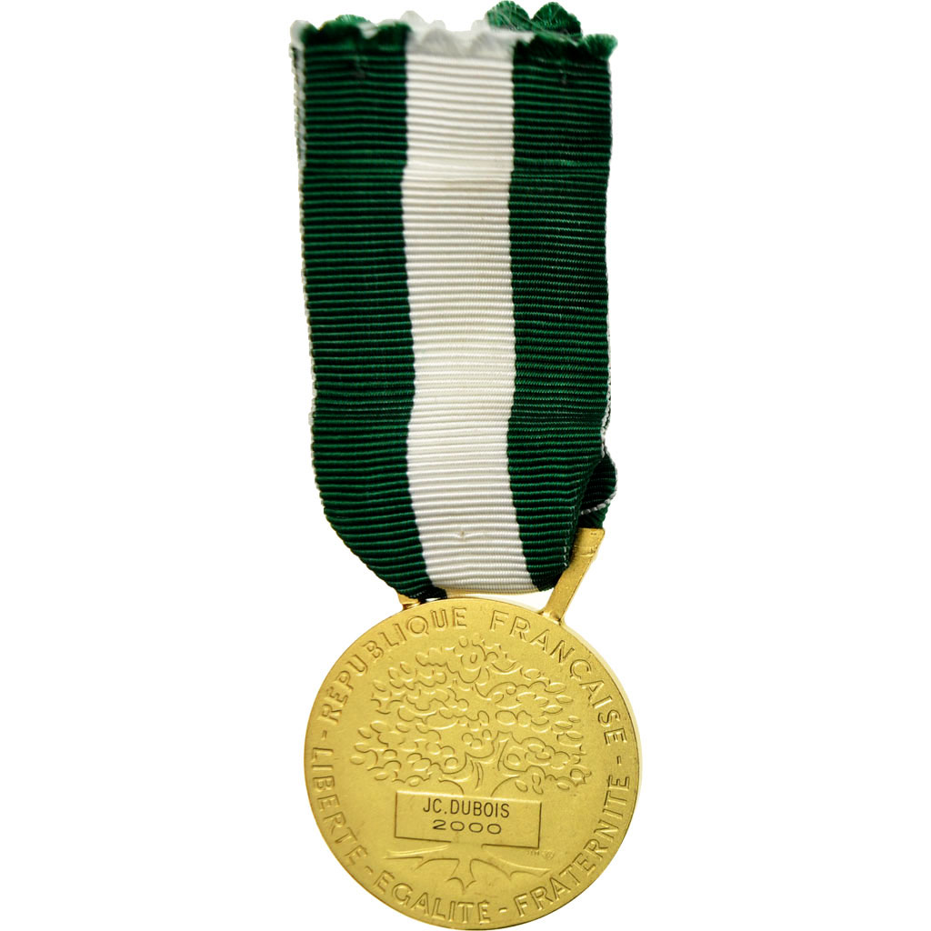 France, Médaille d'honneur communale, régionale et départementale, Medal