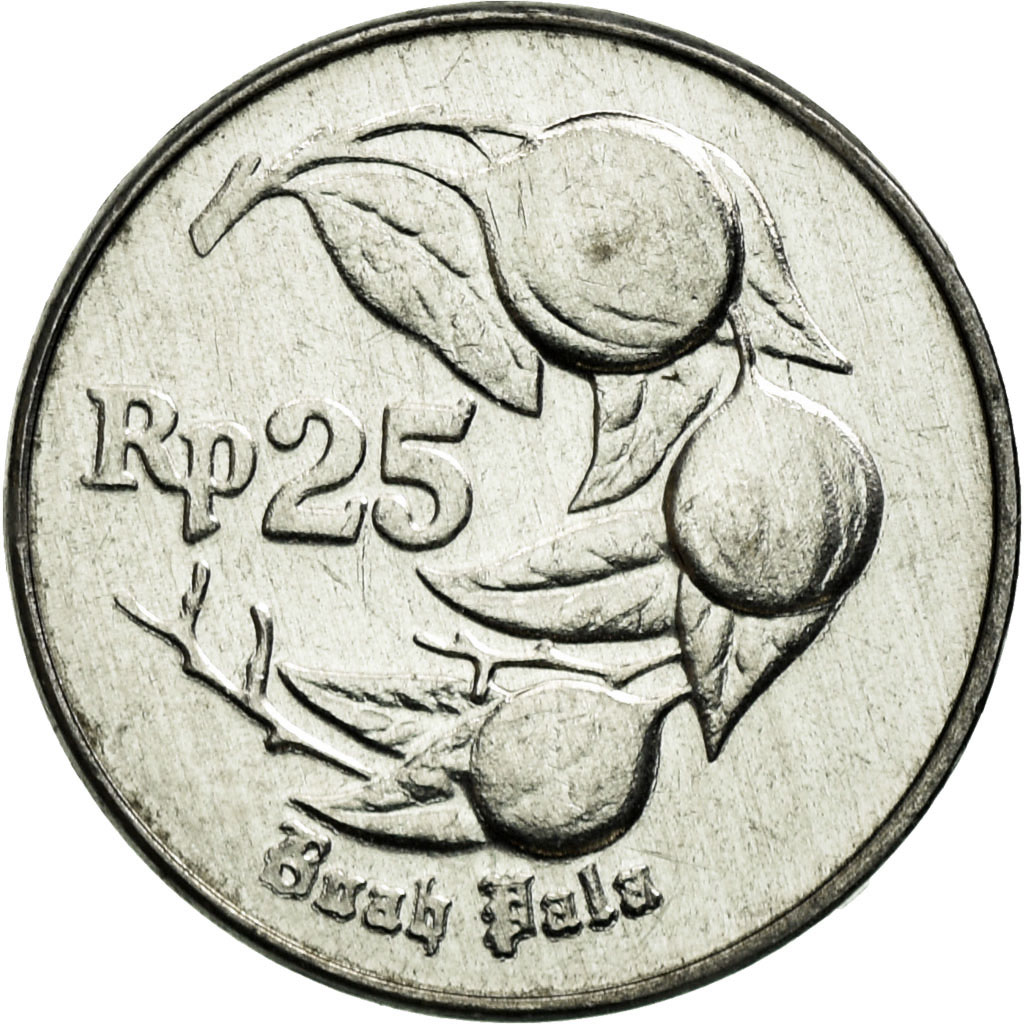 Moneda, Indonesia, 25 Rupiah, 1994, SC, Aluminio, KM:55
