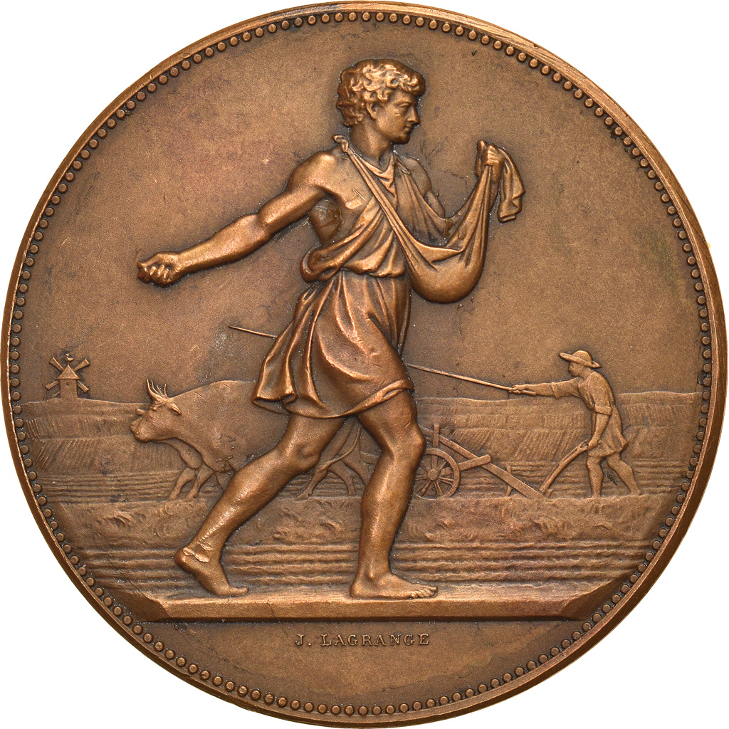 France, Medal, Comice Agricole de Rouen, Lagrange, , Bronze
