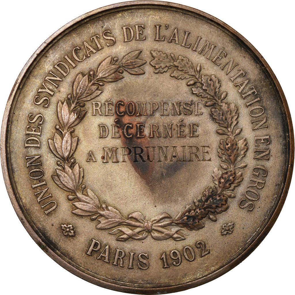 Frankrijk, Medaille, French Third Republic, 1902, Bronzen, ZF+