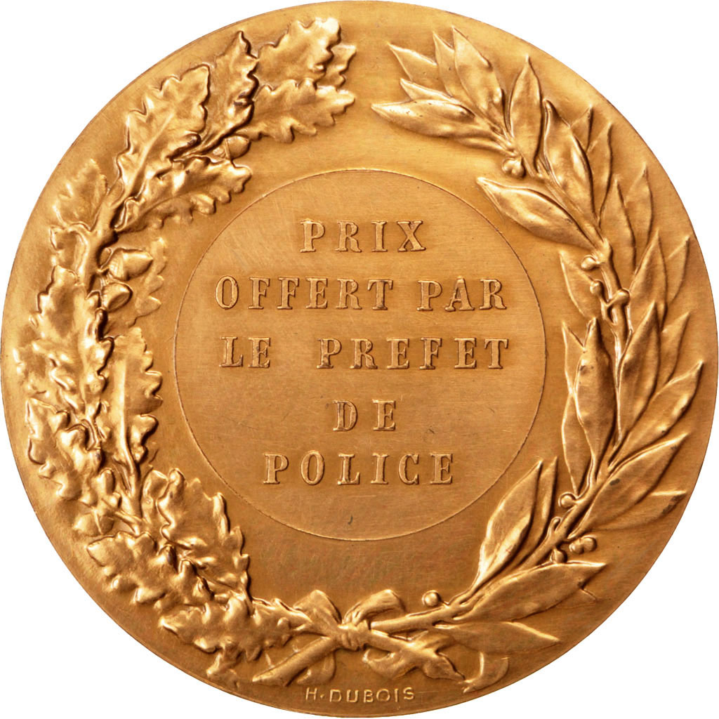 France, Medal, French Third Republic, Politics, Society, War, , Bronze