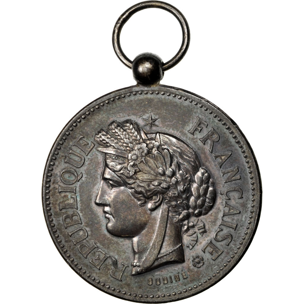 France, Medal, French Third Republic, Business & industry, 1896, Oudiné
